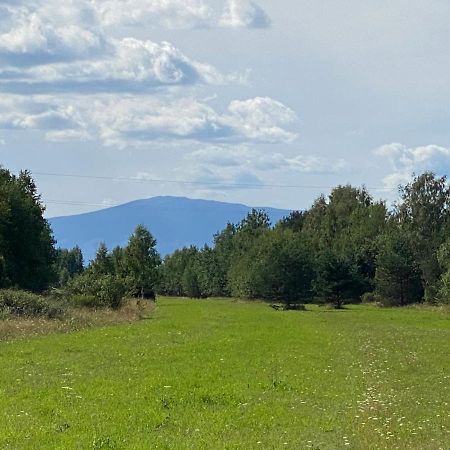 Goralskie Domki U Topora Czarny Dunajec Εξωτερικό φωτογραφία